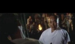 少林醉拳视频在线观看,醉步生风，一招一式尽展中华武术魅力