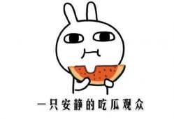吃瓜事件小网红,揭秘吃瓜小网红的爆红之路