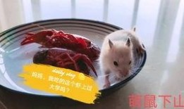 吃瓜娱乐背景板,揭秘娱乐圈幕后那些事儿