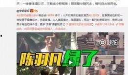 卓伟爆料刘氏家族视频大全,刘氏家族视频大全曝光，家族往事再掀波澜