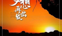 爆料感人正能量视频素材,正能量视频素材背后的感人故事