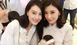 闺蜜爆料贾静雯视频大全,揭秘明星私生活瞬间