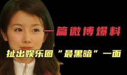 娱乐圈黑料爆料,真相与谣言的交织