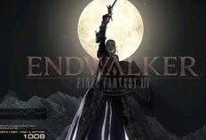 飞哥爆料视频大全,揭秘热点事件背后的真相