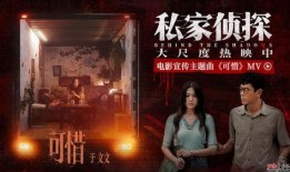 私家侦探重大爆料视频大全,视频大全深度解析