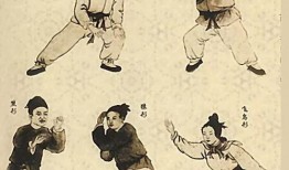 橙子染发师爆料视频大全,海量染发技巧与潮流发型视频大放送
