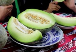 17吃瓜一起免费吃瓜,免费共享瓜界狂欢