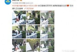 最新内娱八卦爆料微博,揭秘幕后故事与情感纠葛