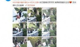 最新内娱八卦爆料微博,揭秘幕后故事与情感纠葛