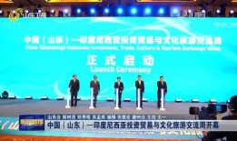 印尼论坛爆料新闻网,揭秘热点事件背后的真相