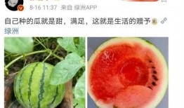 娱乐圈吃瓜料,揭秘明星幕后恩怨情仇