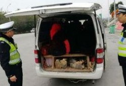 泉州面包车爆料最新消息,最新事故现场细节曝光