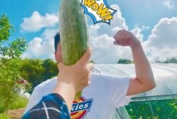 带你吃瓜网红,带你领略“带你吃瓜”网红的独特魅力