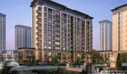 颐园二期爆料最新消息,揭秘神秘新盘亮点与开盘时间