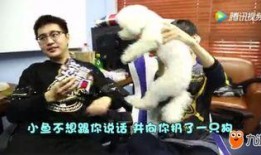 阿泰最新爆料视频,娱乐圈幕后真相大曝光！