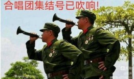 政委爆料唱歌视频大全,独家唱歌视频大全，带你领略歌声魅力