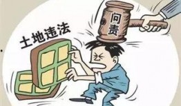 清迈扫地僧爆料案件最新,最新案件背后的惊人真相