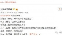 卓伟爆料刘氏家族视频大全,刘氏家族视频大全曝光，家族往事再掀波澜