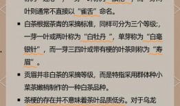爆料茶叶的视频怎么做的,从爆料到爆款