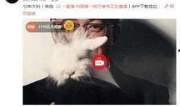 泳池事件爆料视频播放网站,一场引发热议的真相大曝光