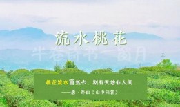 春天里26集在线观看,浪漫邂逅，青春绽放