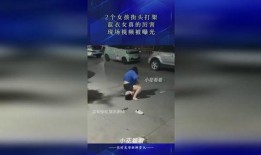 蓝衣女孩爆料视频大全集,揭秘事件真相与幕后黑幕