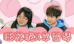 塌房艺人被爆料视频播放,塌房艺人丑闻引发热议