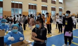 碧桂园爆料最新消息搬家,搬家大动作，揭秘新址布局与未来规划！”