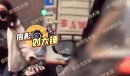 私家侦探重大爆料视频大全,视频大全深度解析