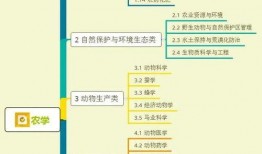 杰西爆料切片视频大全集,揭秘幕后真相与精彩瞬间
