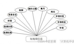 小程序爆料短视频,小程序爆料背后的精彩瞬间