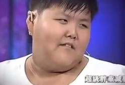 视频爆料胖胖,胖胖的惊人真相，揭秘网络热议背后的故事