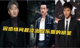 娱乐圈黑料爆料,真相与谣言的交织